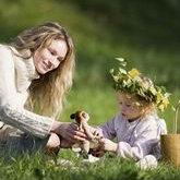 2026年宫腔粘连的治疗方法有哪些