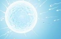 染色体异常不孕能在河南信合医院做三代试管怀孩子吗？男人染色体有问题能做试管吗？