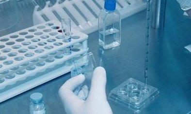 试管鲜胚移植前禁忌揭秘：同房是否影响成功率？