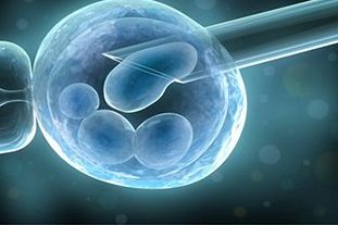 女性有染色体罗氏易位在图木舒克市做试管养囊成功率高吗？试管移植后需要保胎吗！